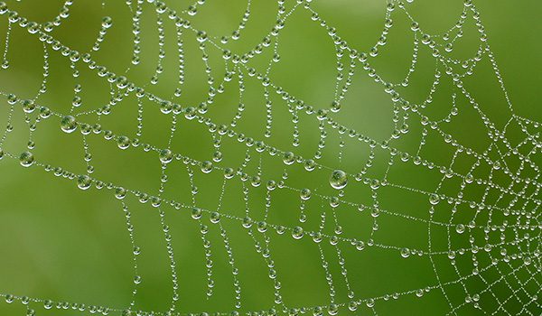 Zolpidementzug Informationen Zur Therapie Das Suchtportal