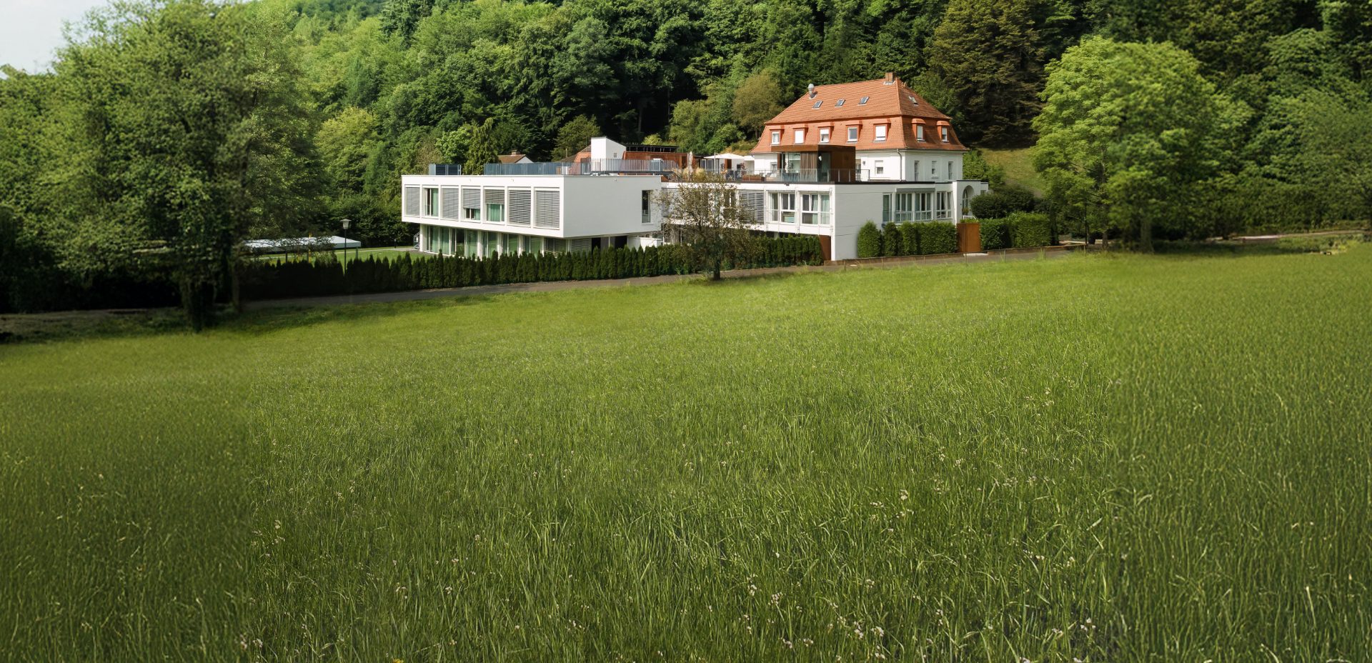 www.mywaybettyford.de